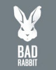 آلودگی سازمان های دولتی توسط باج افزار خطرناک Bad Rabbit