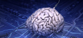 دانشمندان برای نخستین بار مغز انسان را به اینترنت متصل کردند